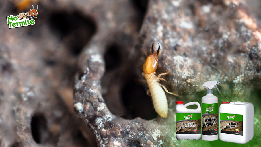 Veiksmingos termitų prevencijos strategijos: pagrindiniai patarimai namų savininkams